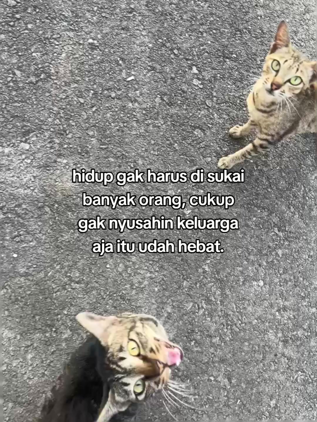 @Dy🪐