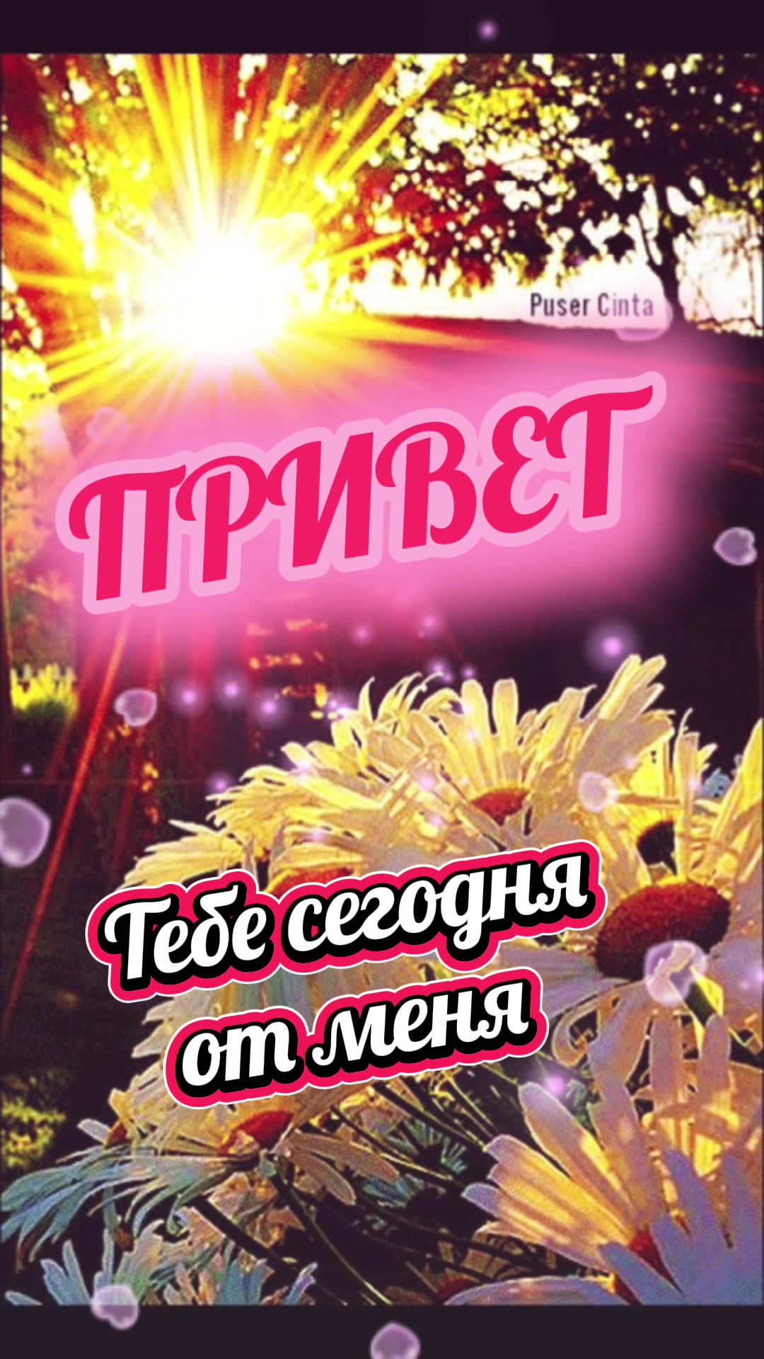 @Статусы и Цитаты от Натальи