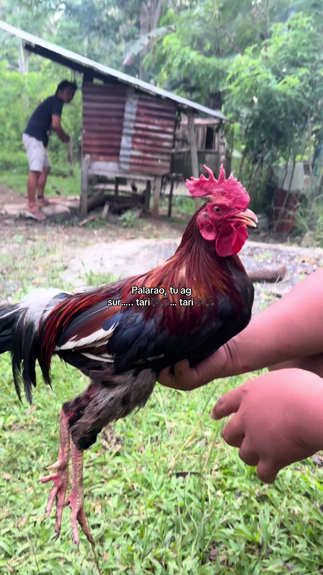 @fvckcleeboy0