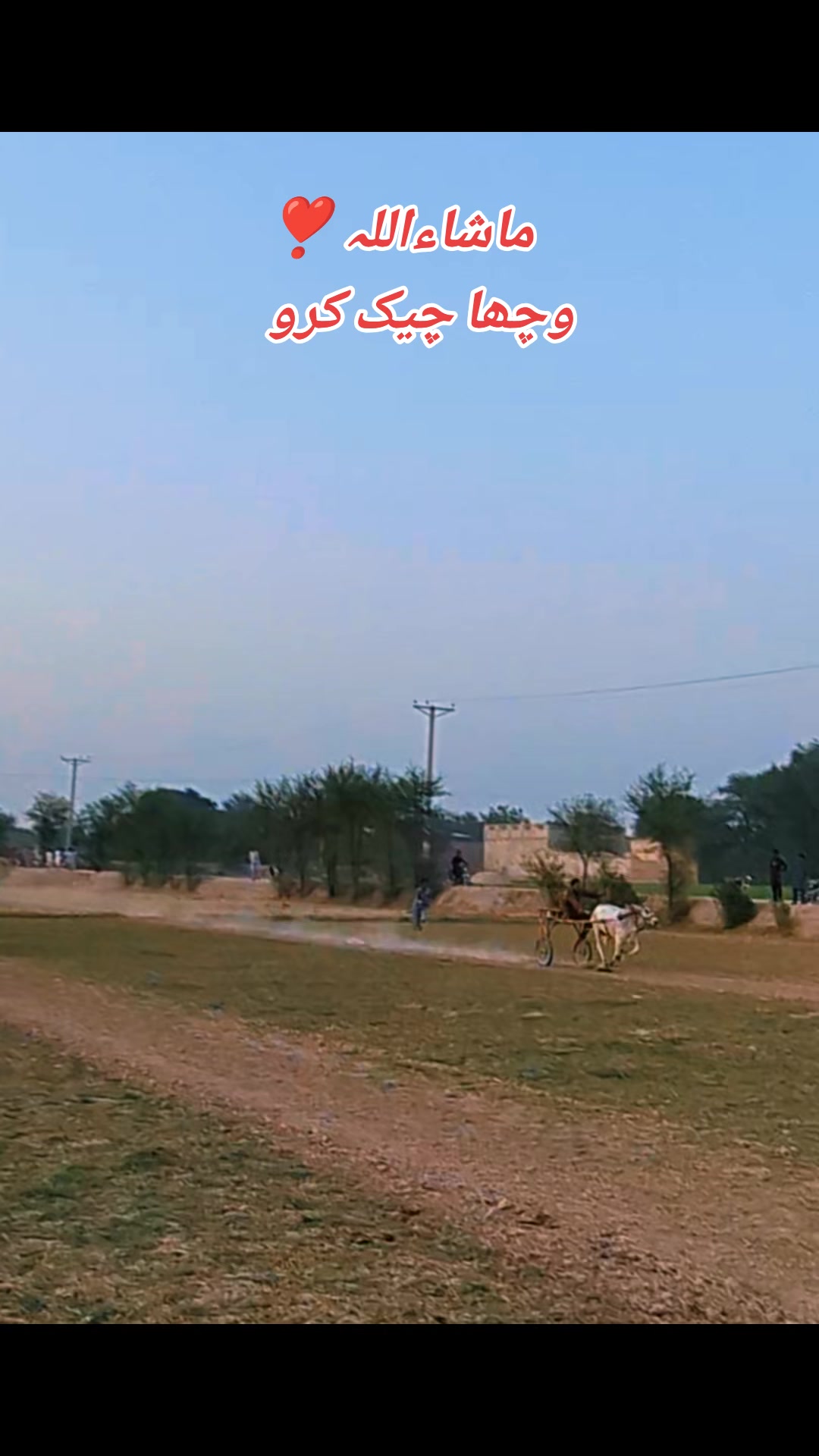 @چوہدری شاہد سلیم مڑل
