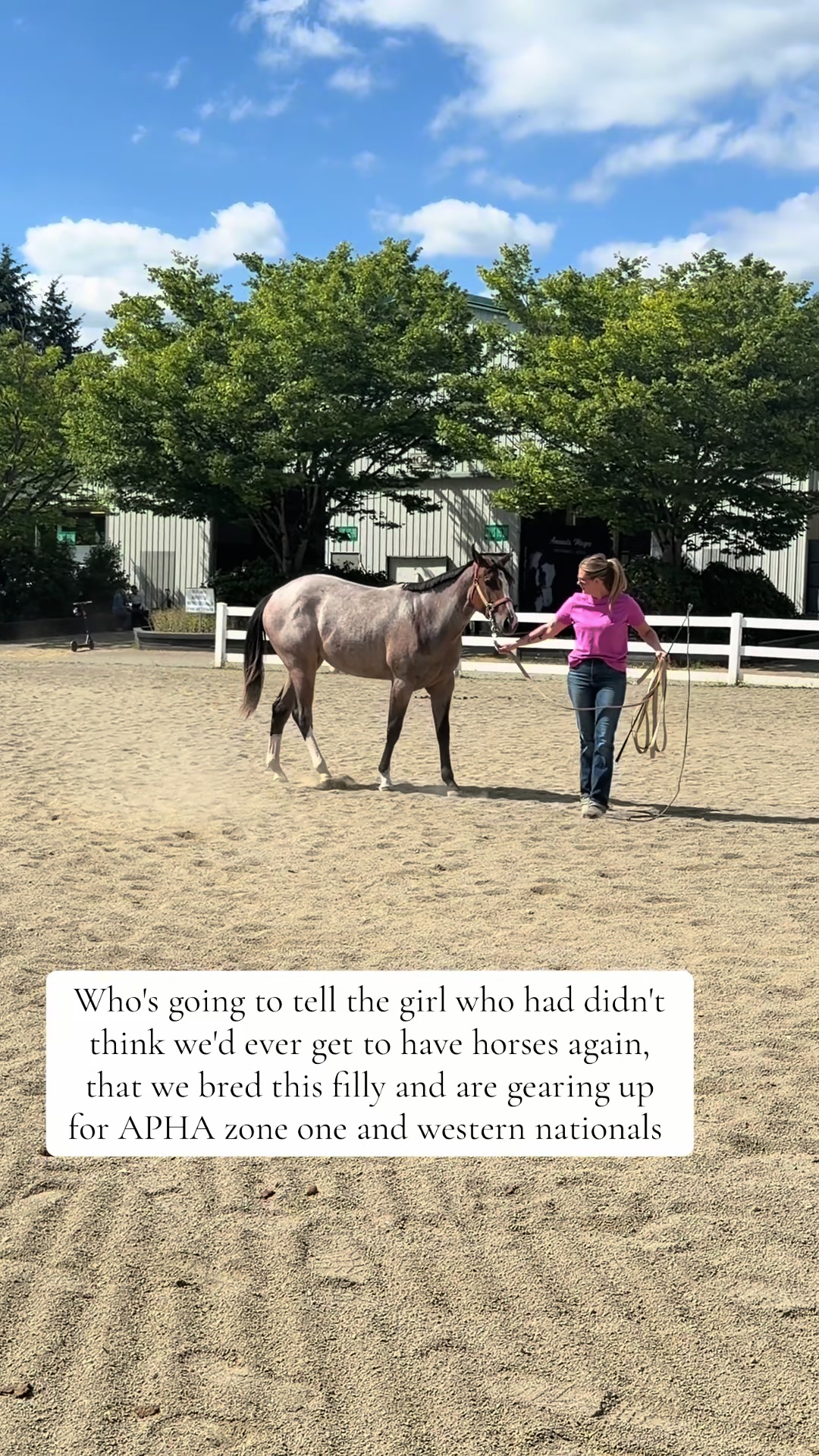 @Cait | Red Mare Owner
