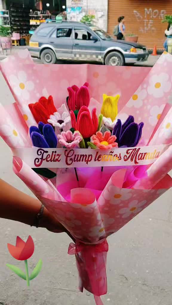 @veronica febrero