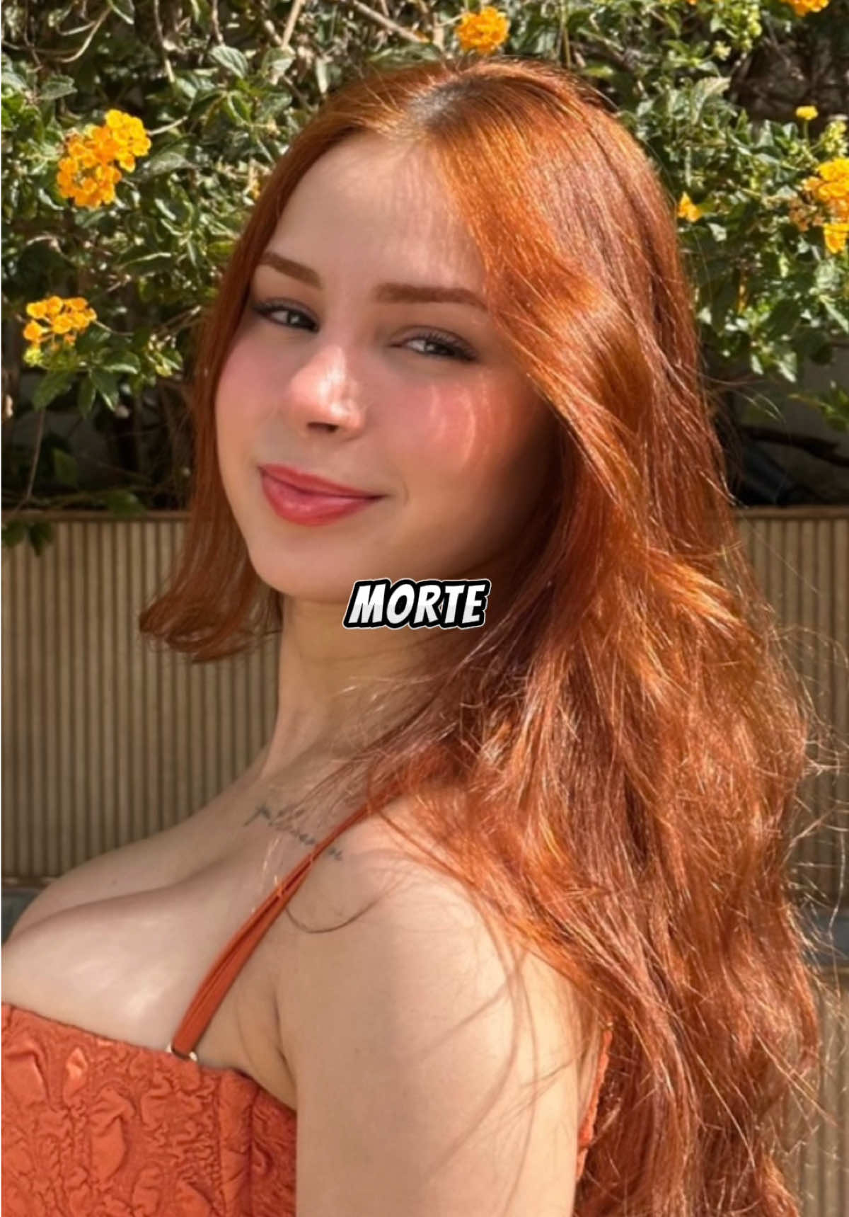 @lari notícias