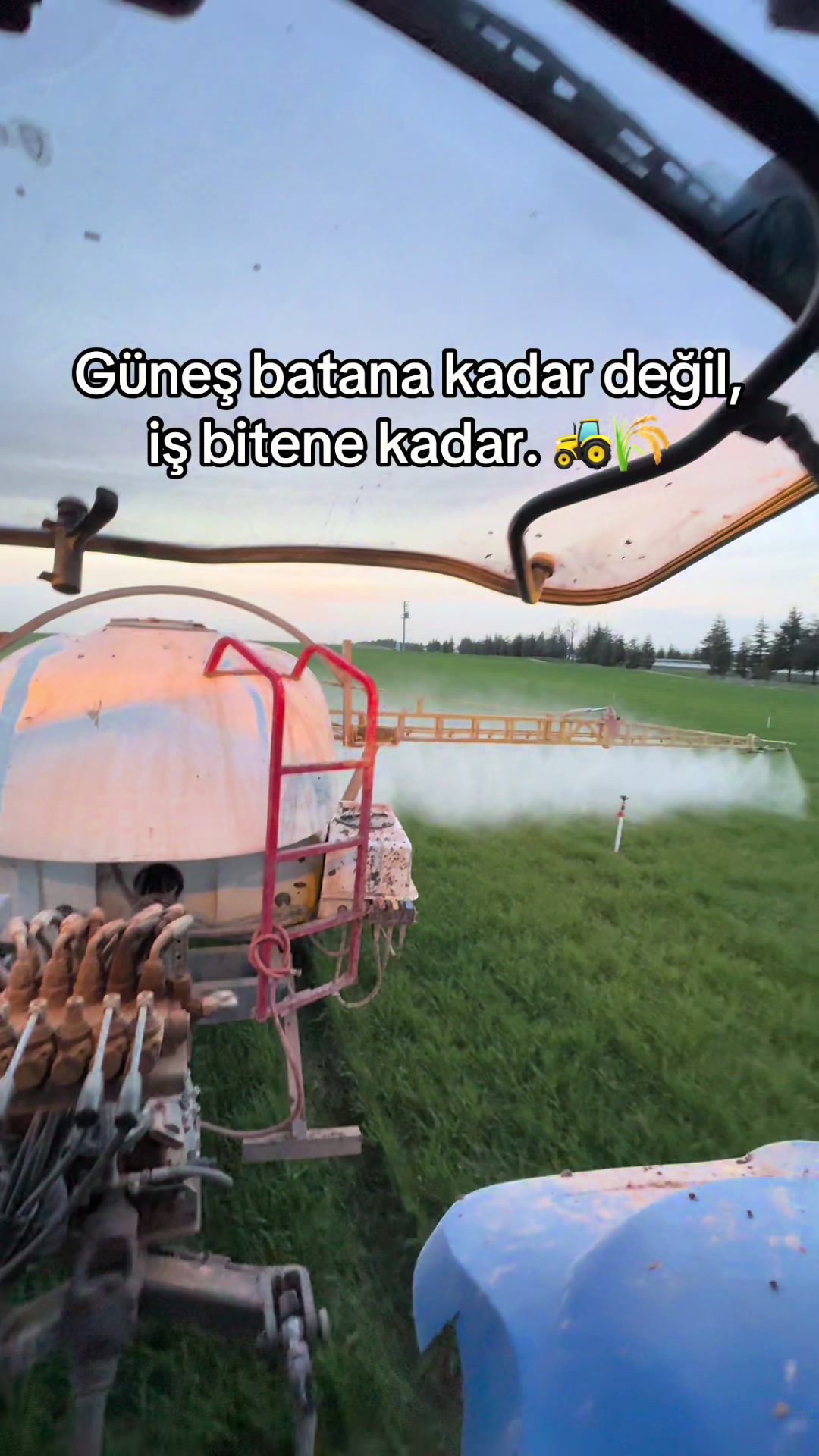 @İsmail EFE