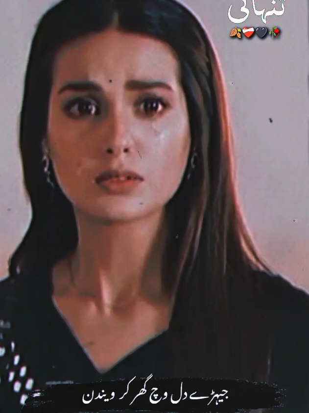 @Saeed Shah ❤