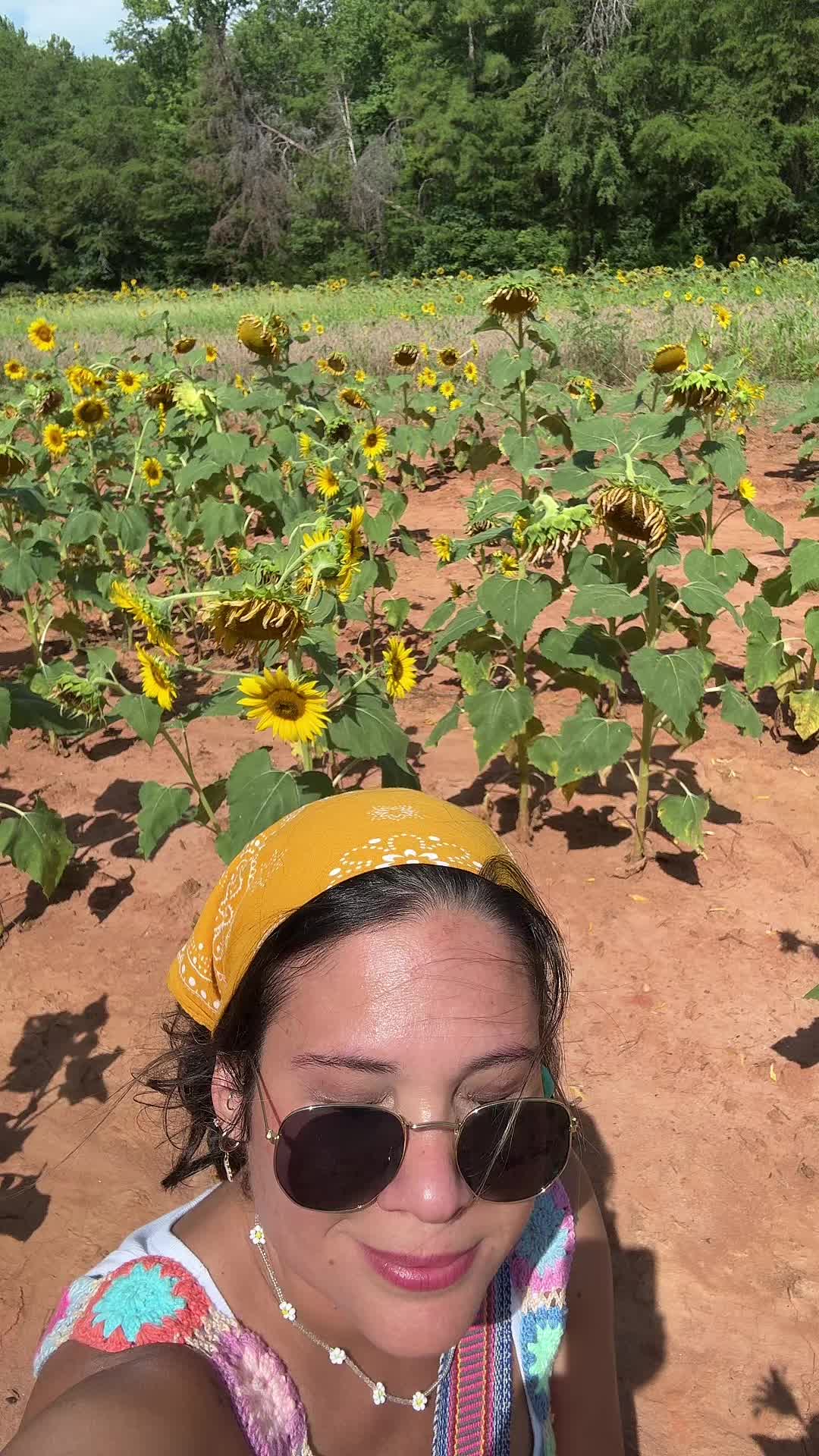 @Señora Ibañez