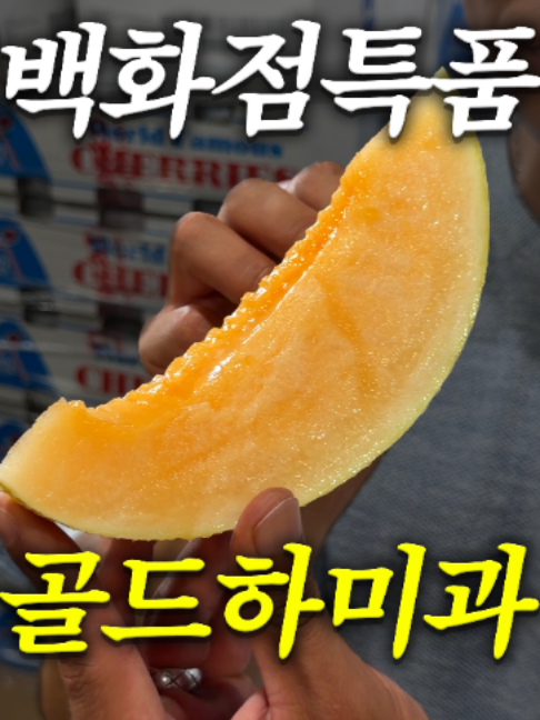 @해운대송사장