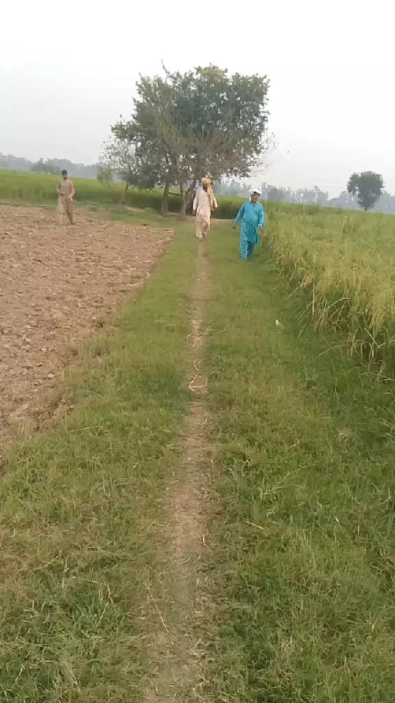 @sajjidwahla1@gmail.com