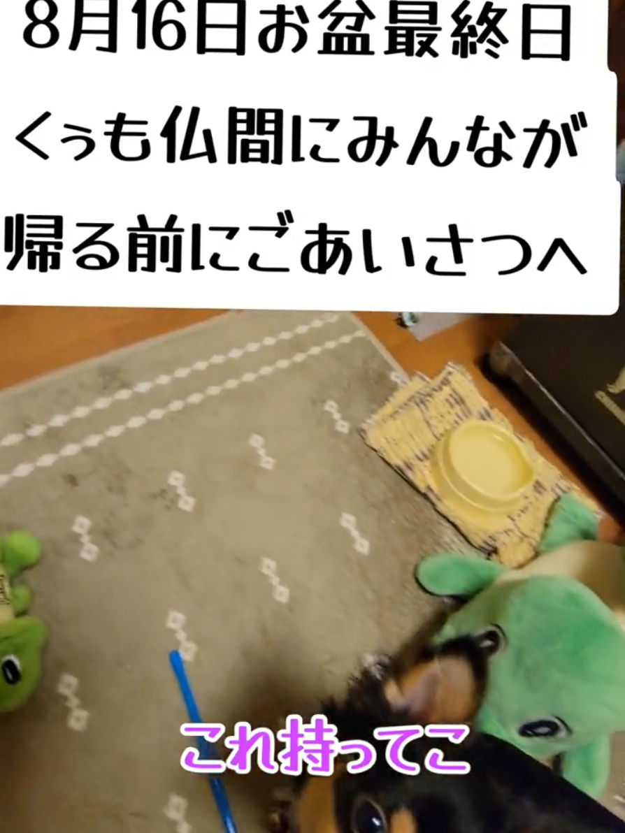@くぅ♂︎成長日記♡