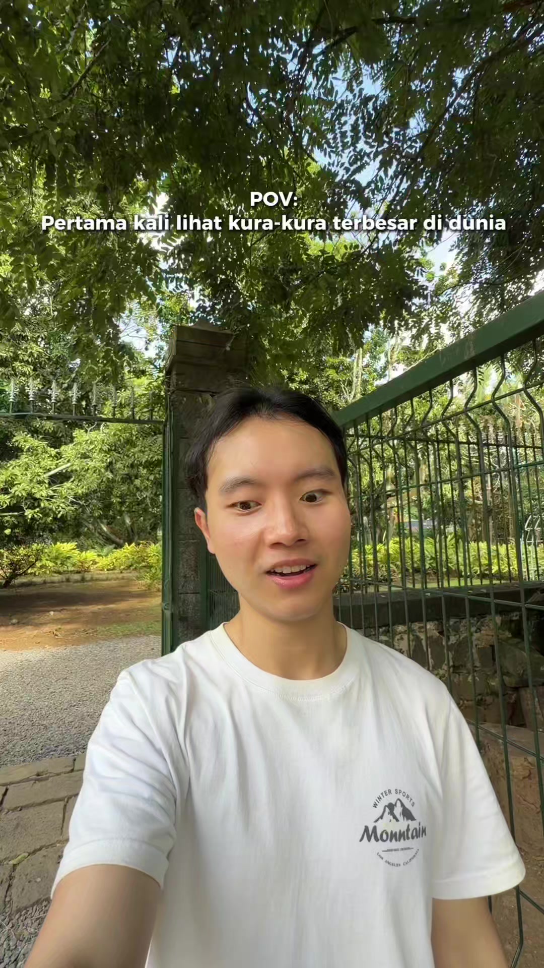 @Michael Liu