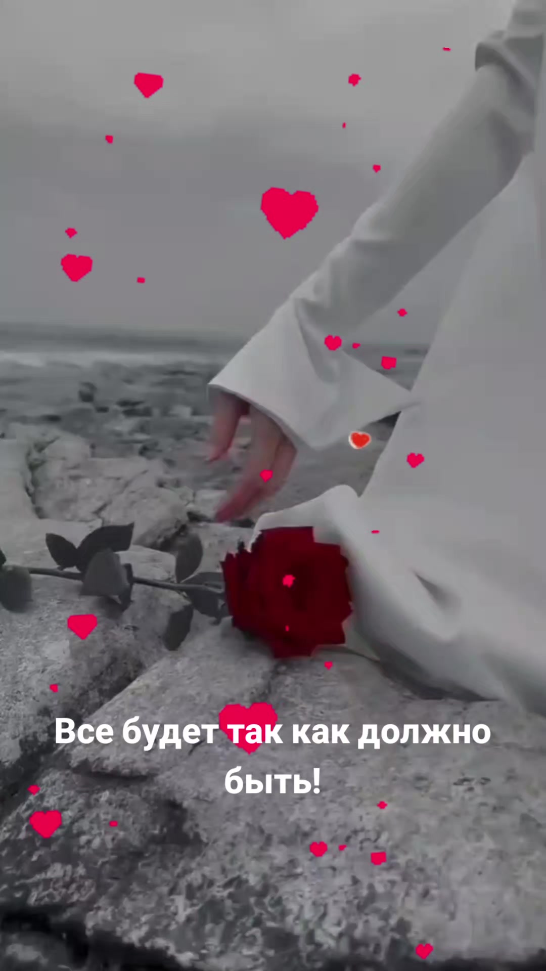 @Мила Телец.