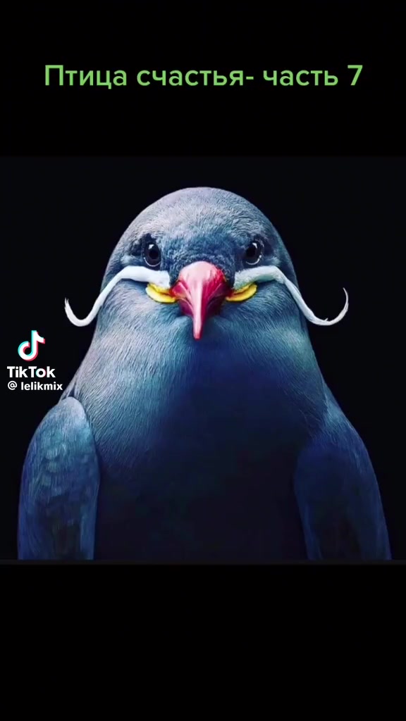 @Ольга