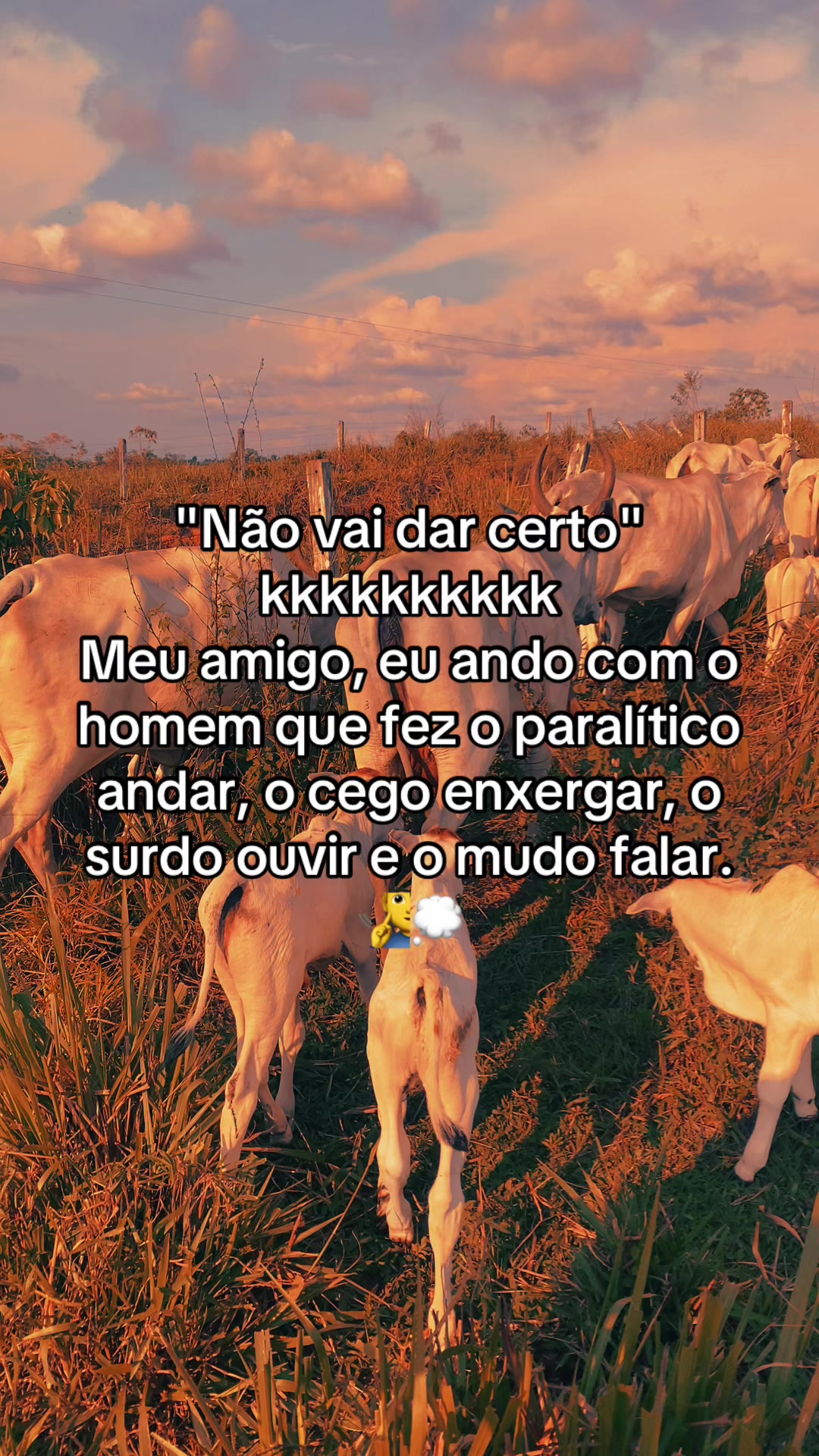 @📿K&Aacute;SSIO.agro𓃗🤠