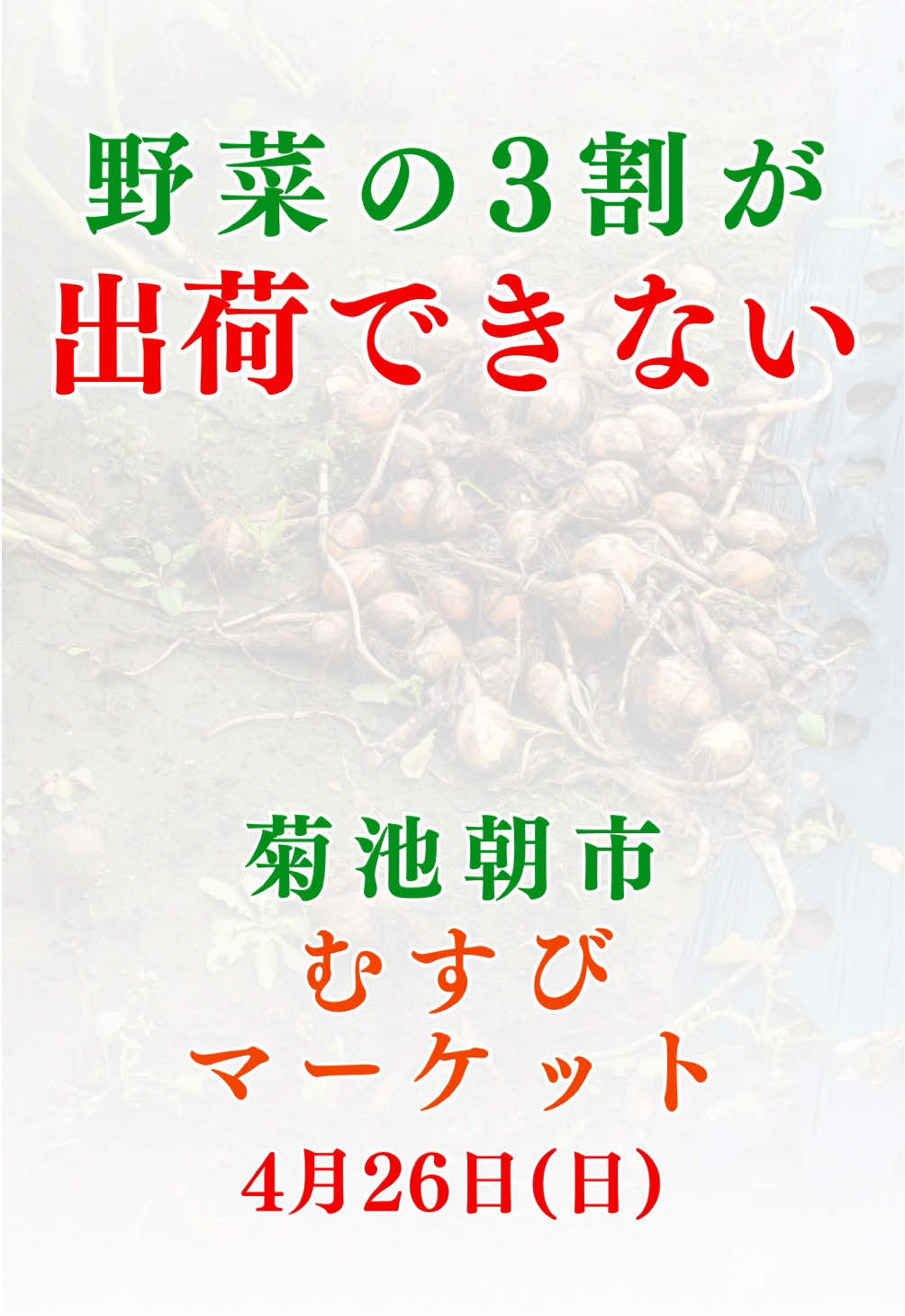 @ますな屋 @発酵食をあなたのご家庭に