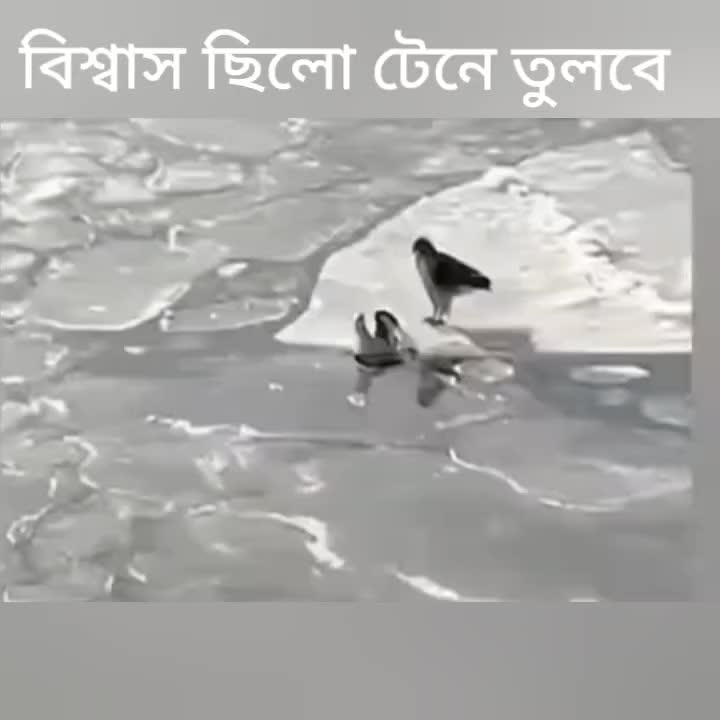 @Mohammed Sakib