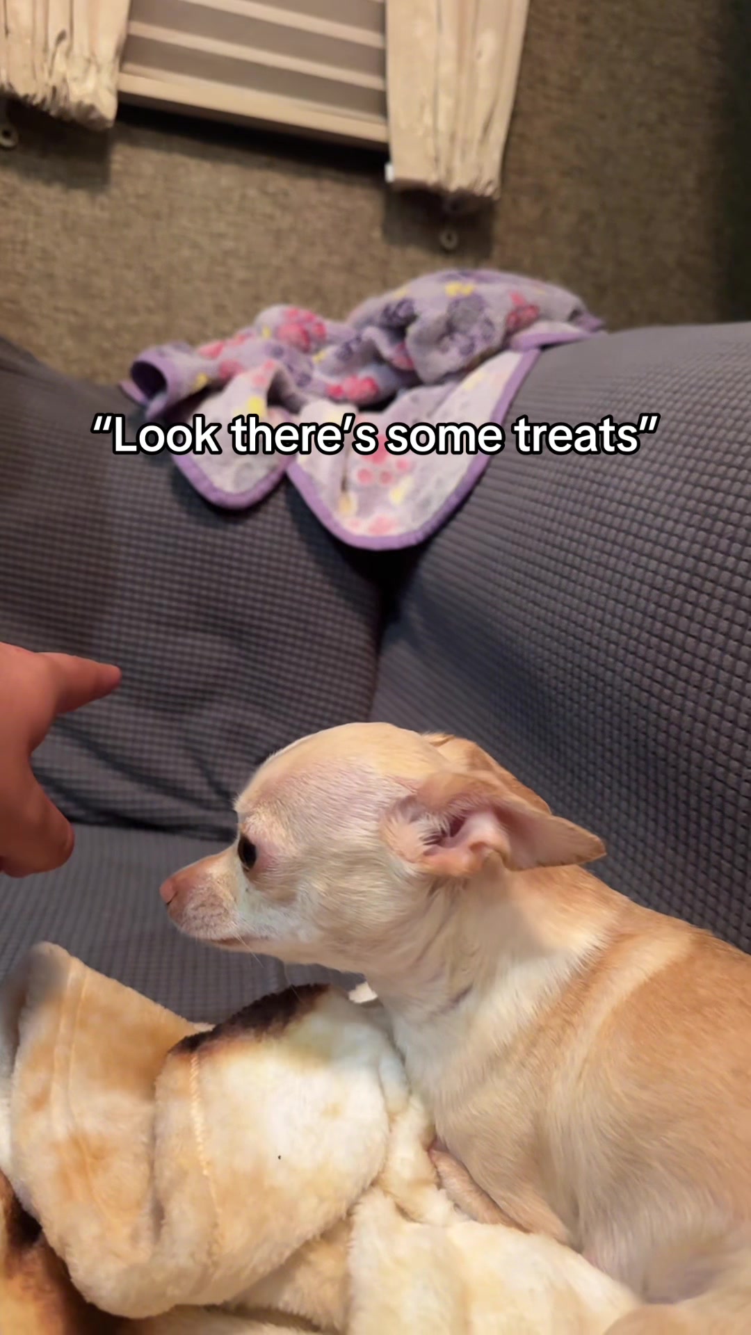 @Gio + Emmy