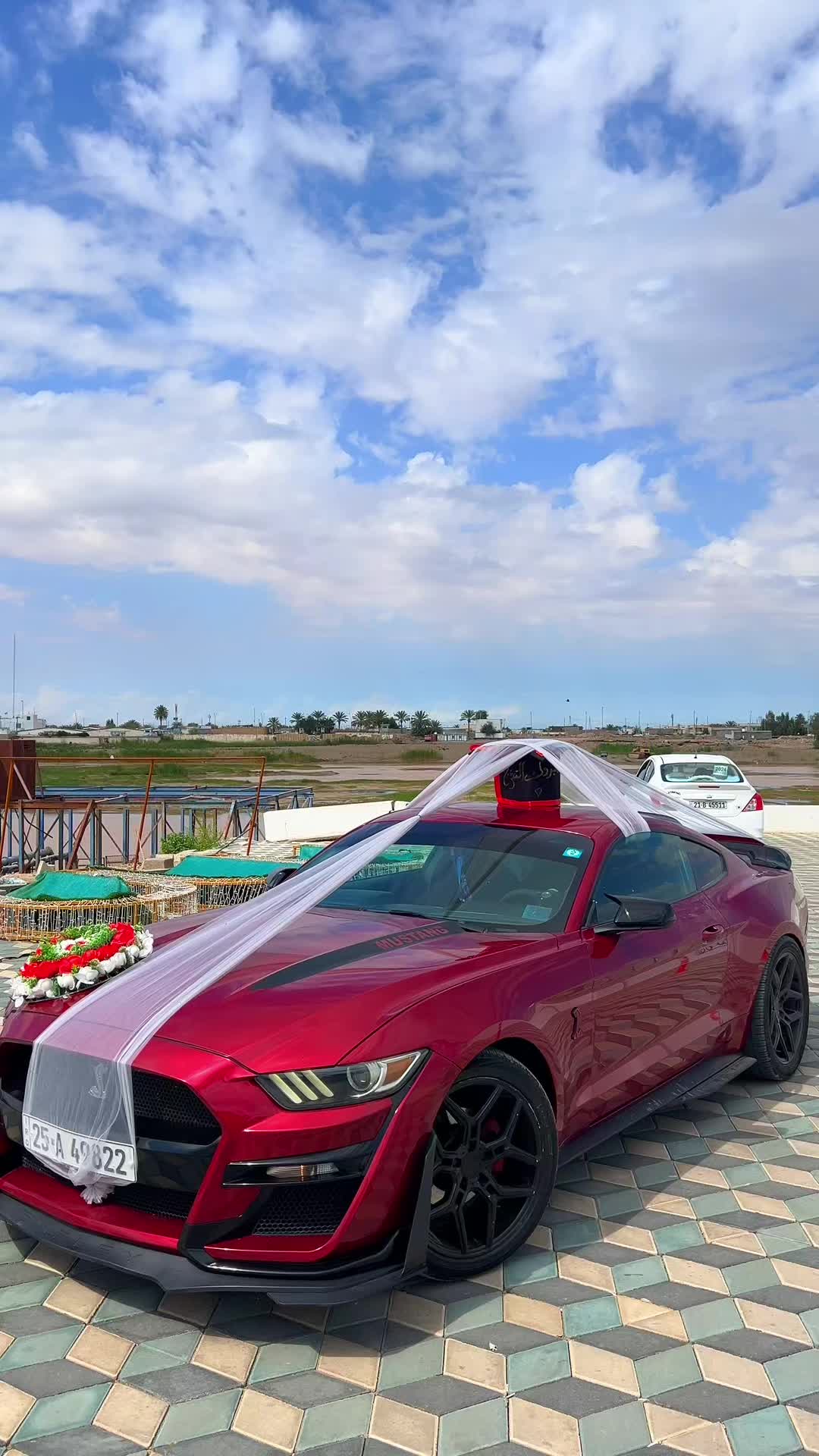 @عبدالقادر الهاشمي ✪
