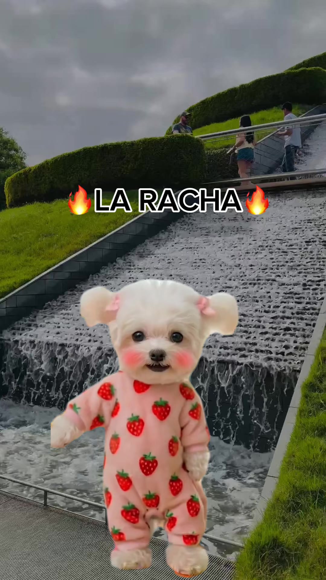 @Garcia