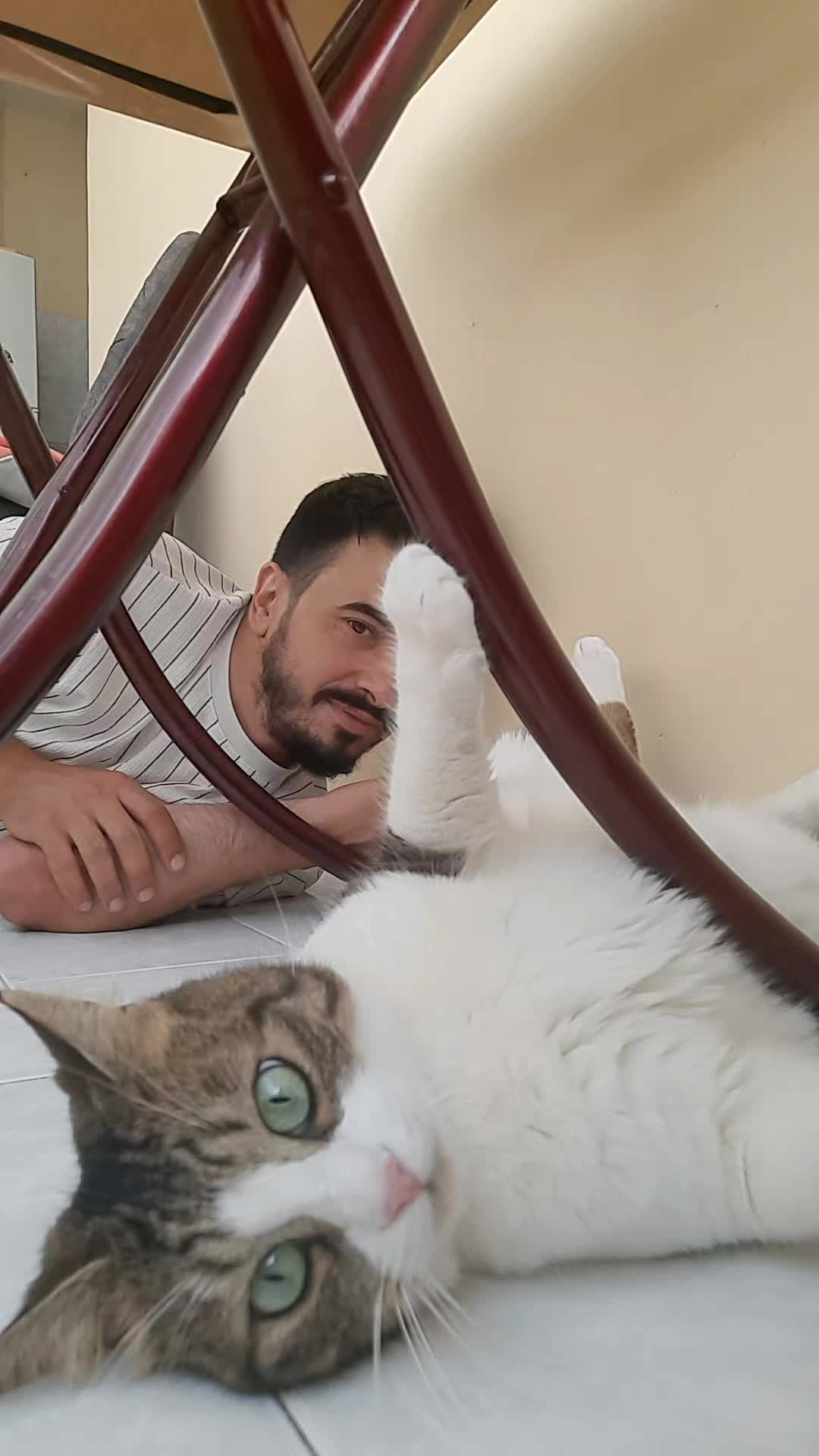 @Metin Doğan