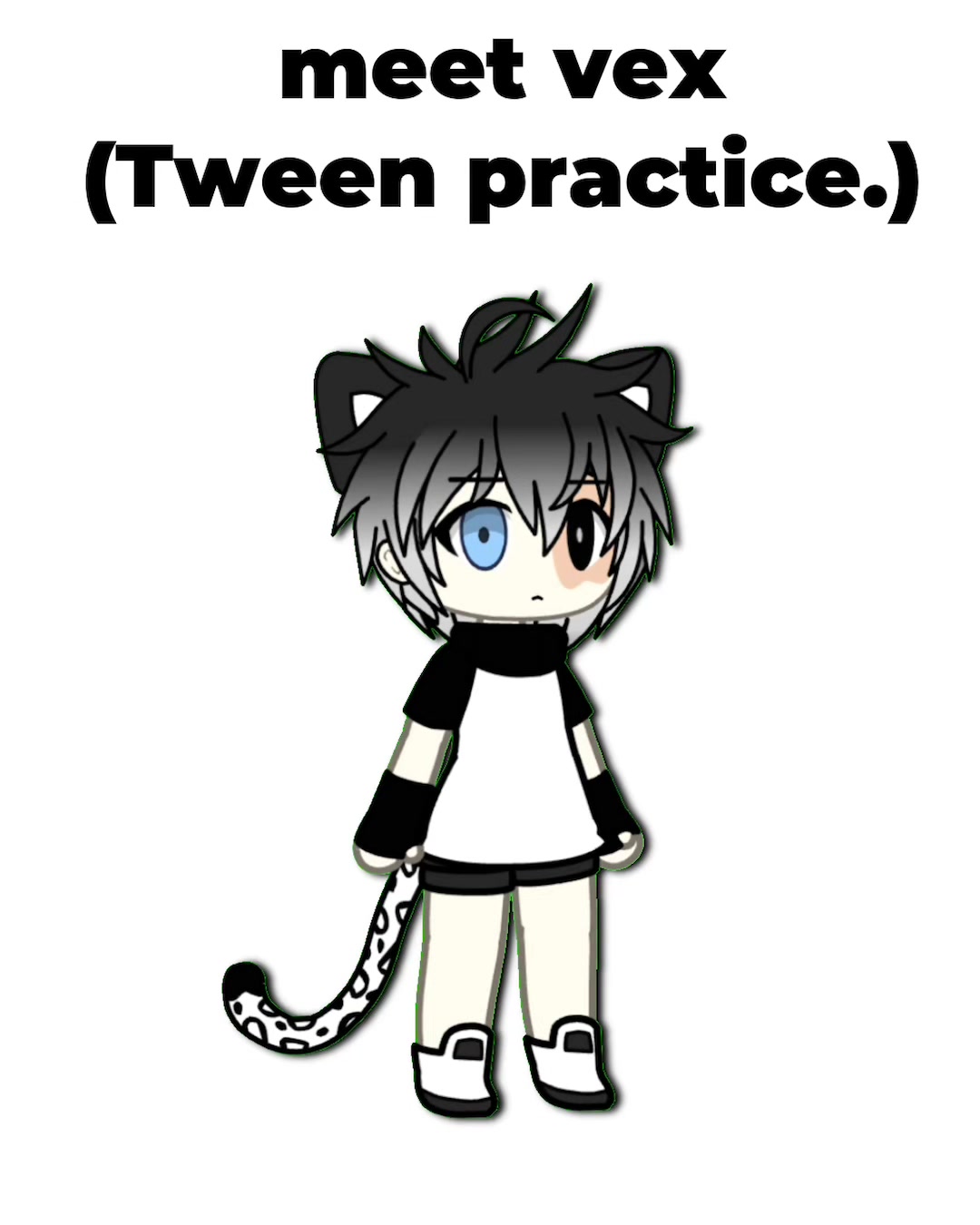 @🐅 𝚐𝚛𝚊𝚢 🐅