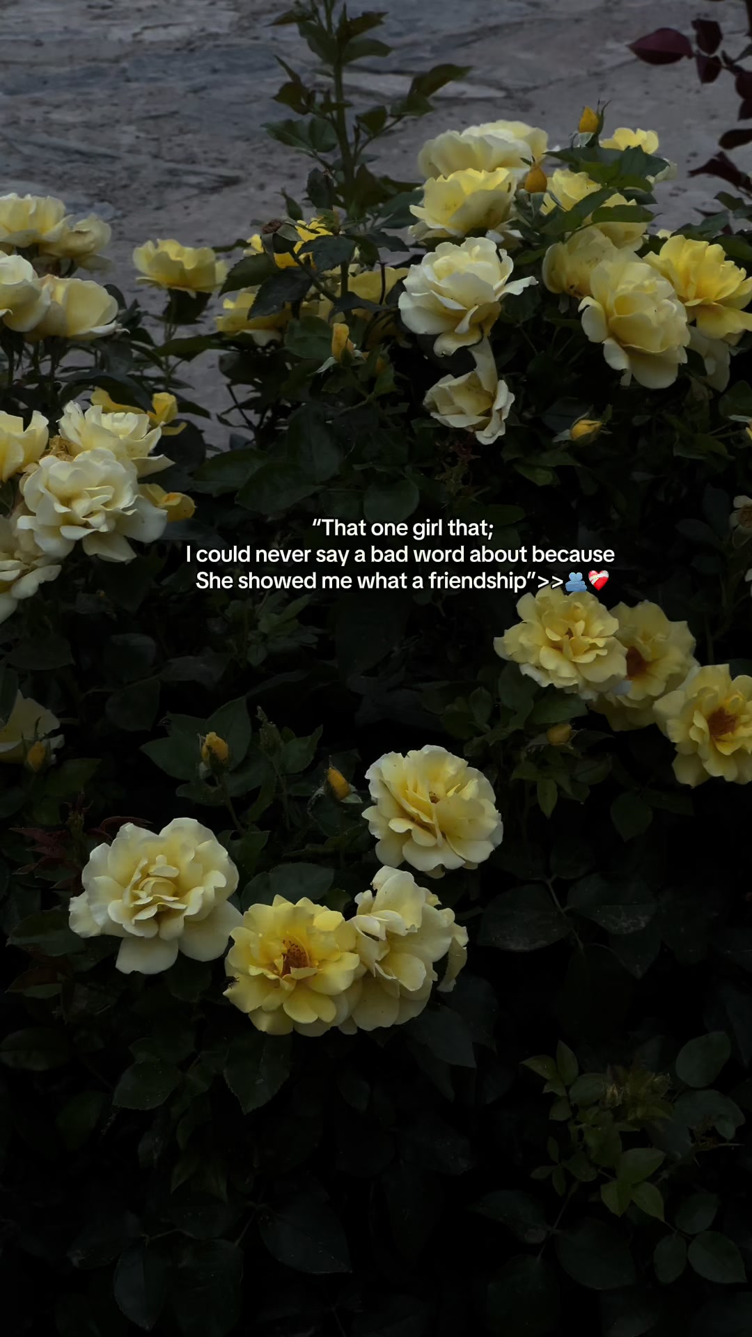@NaصiR>>❤️🩹