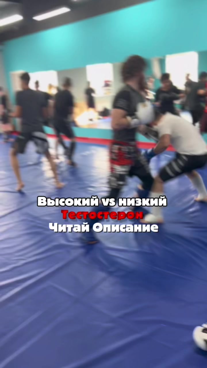 @ABGARYAN_MMA🇦🇲