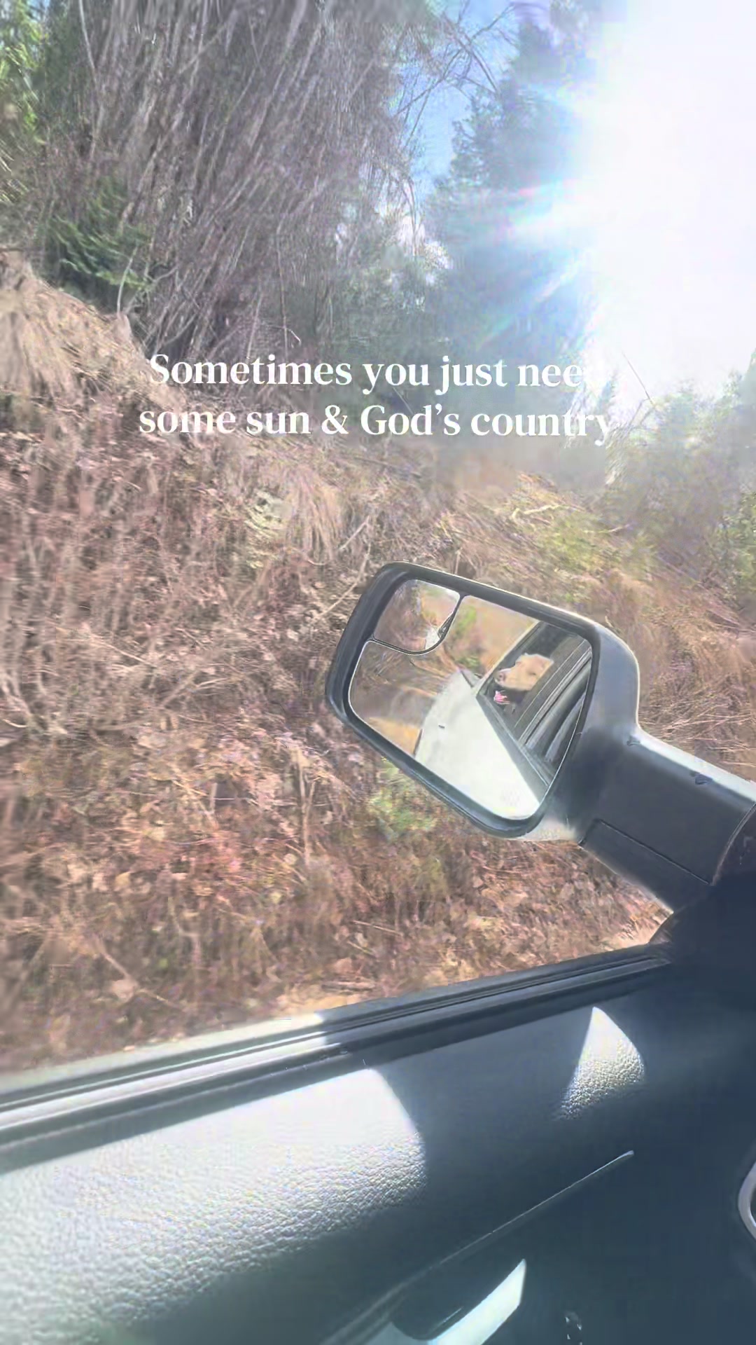 @🫎🦋Cam🌻🦌