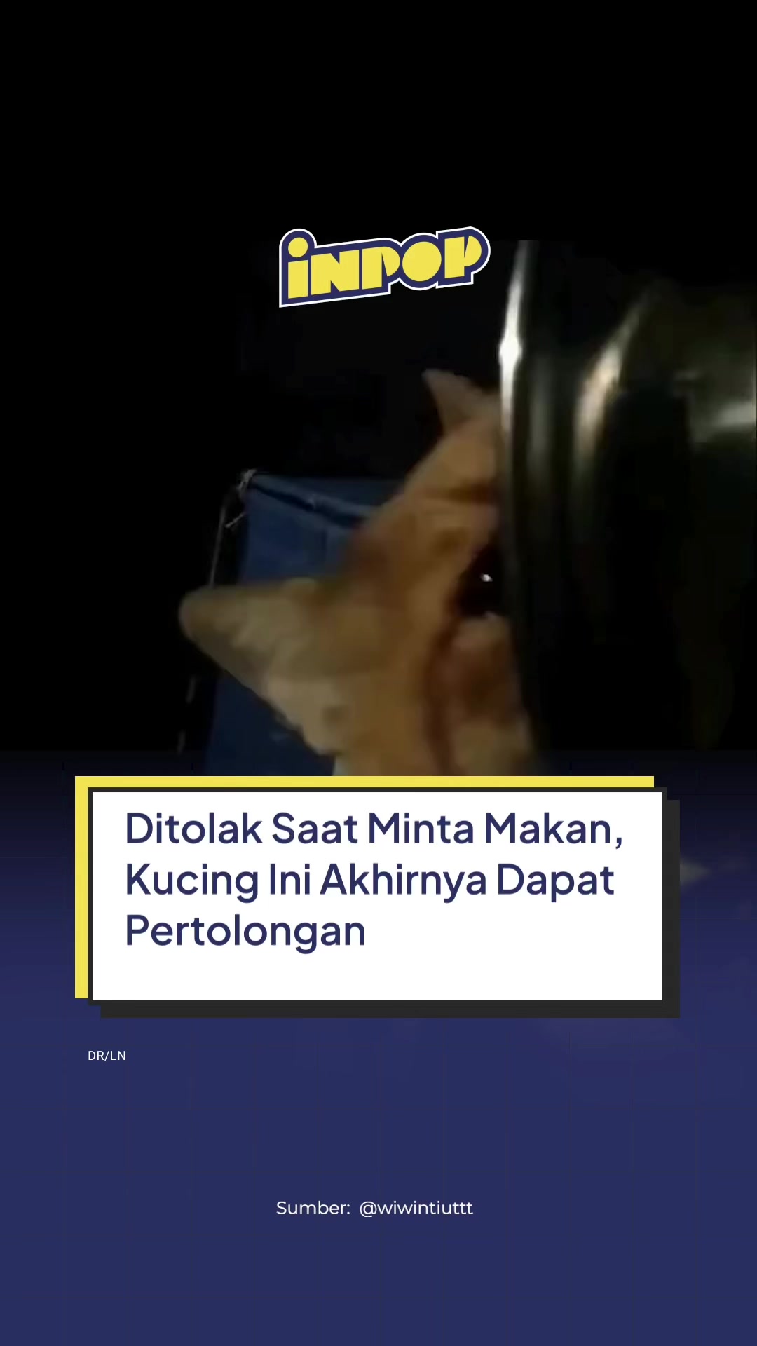 @inpopmedia