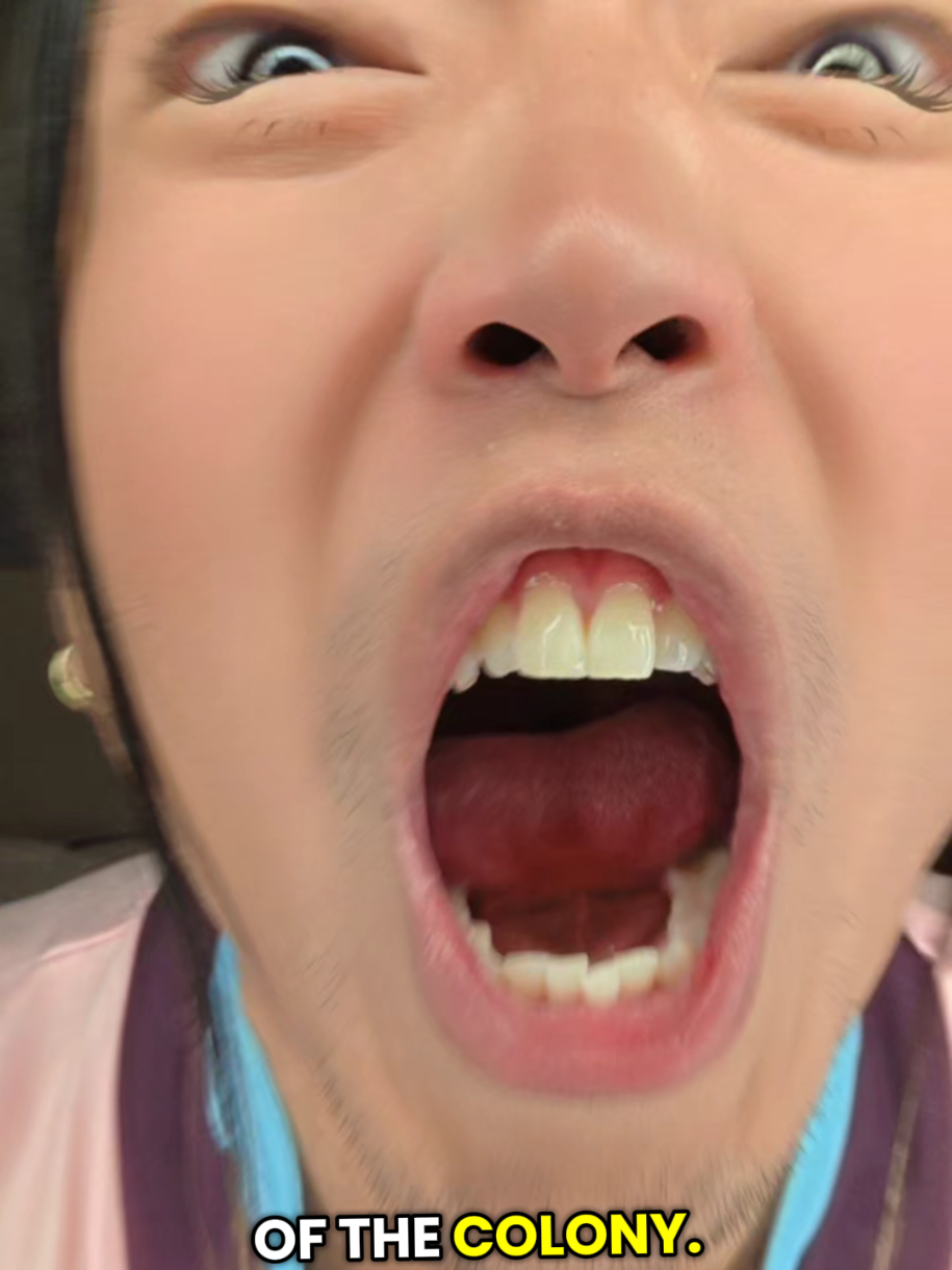 @Jeremy Kim