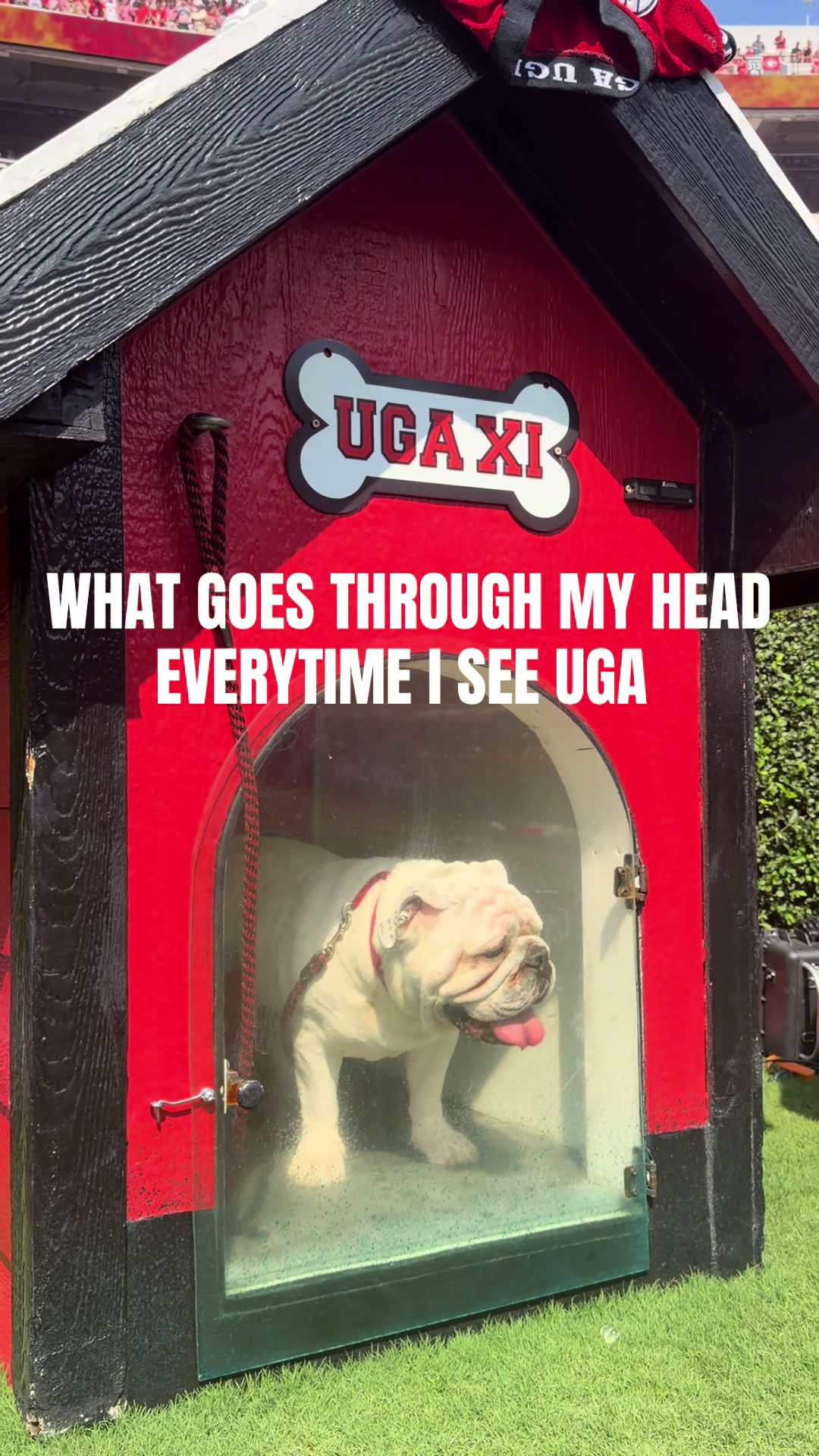 @Georgia Football