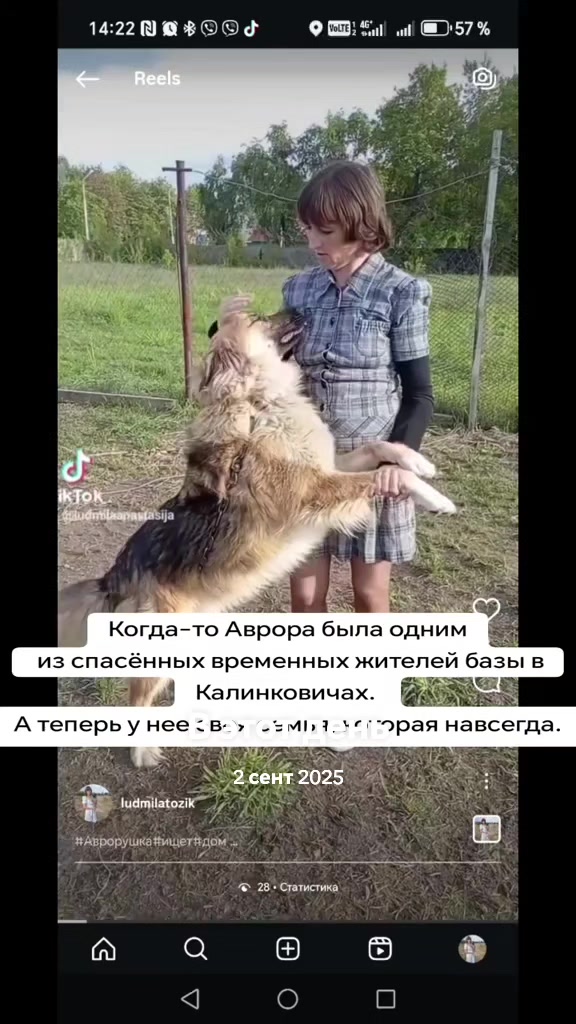 @Передержка «Лёнин рай» 🐶🦮
