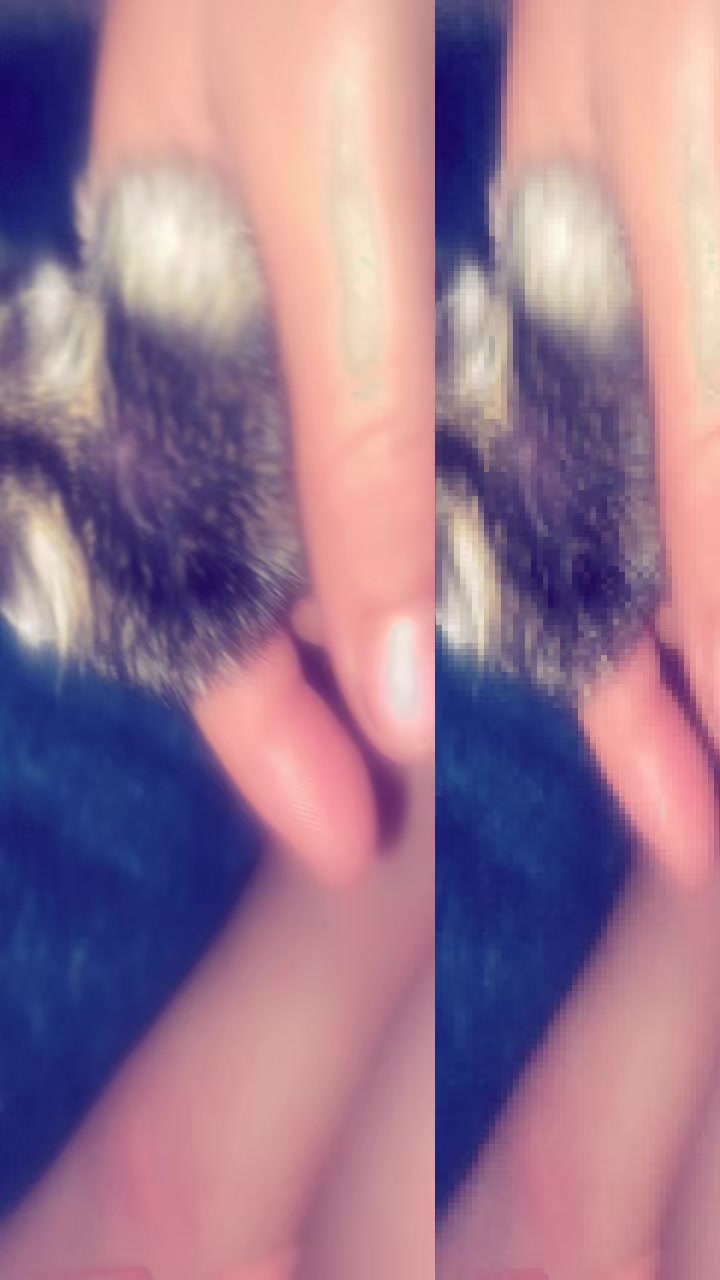 @🐱🐯𝑩𝒀_𝑩𝑼𝑺🐯🐱