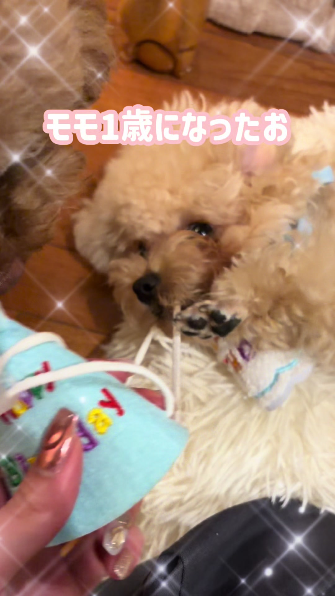 @るるもも