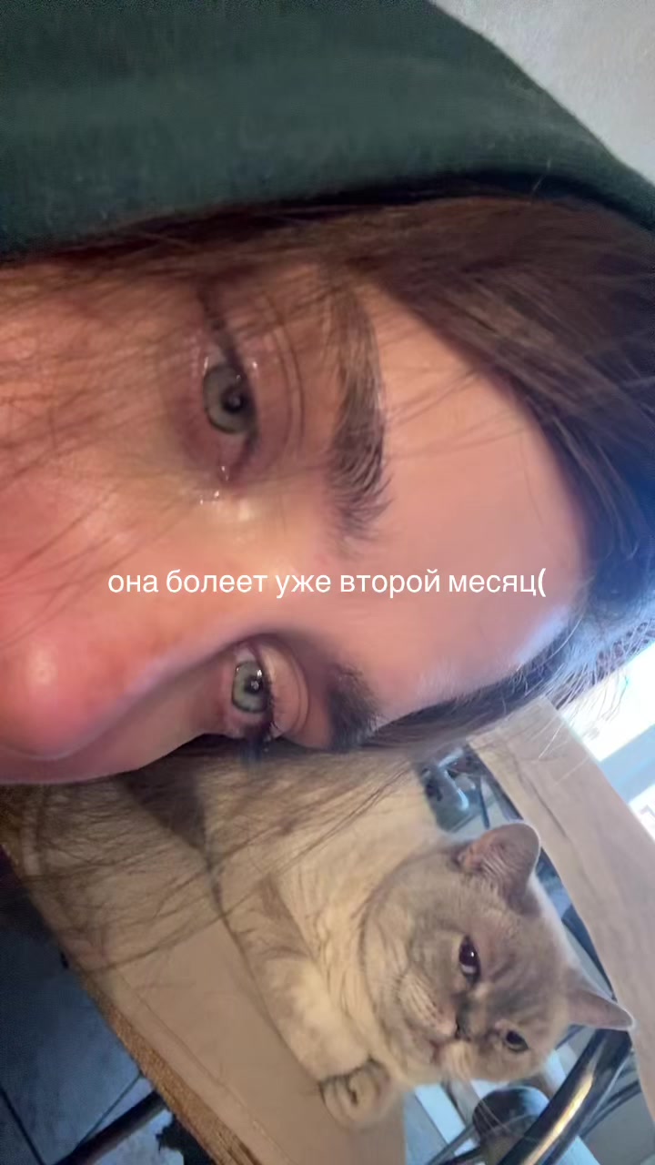 @&ouml;: тгк алёса ✺ ✺ ✺