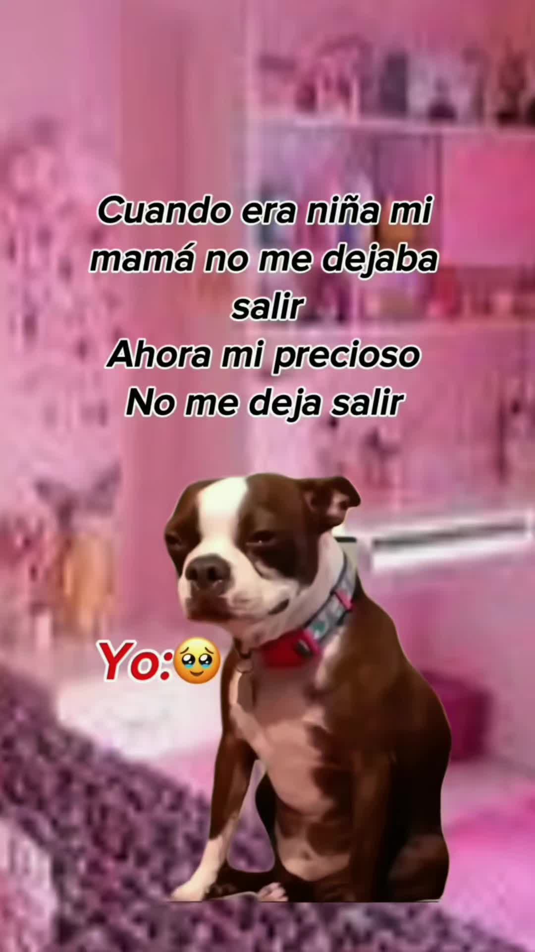 @🌕💫iTs𝐶uRLeeY🌖🧘♀️