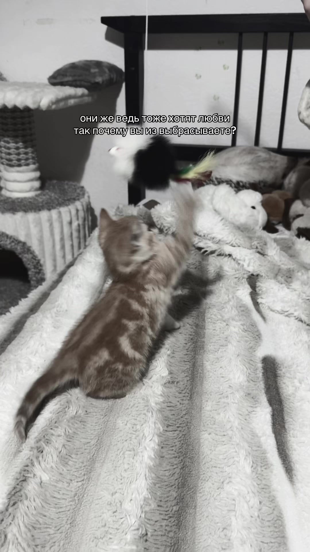 @настюша🫂🤍