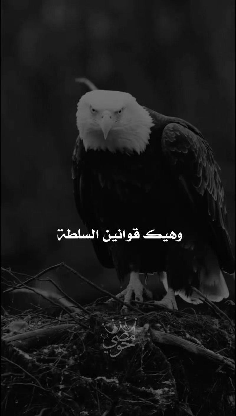 @« ๐๐ - ๐๐๐๐๐ »