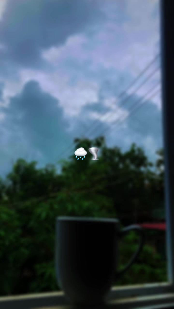 @🐼