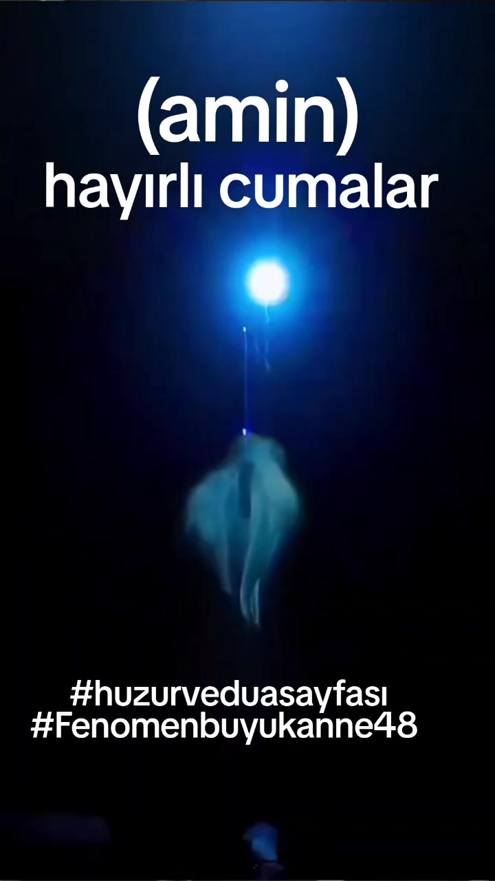 @Fenomenbuyukanne48