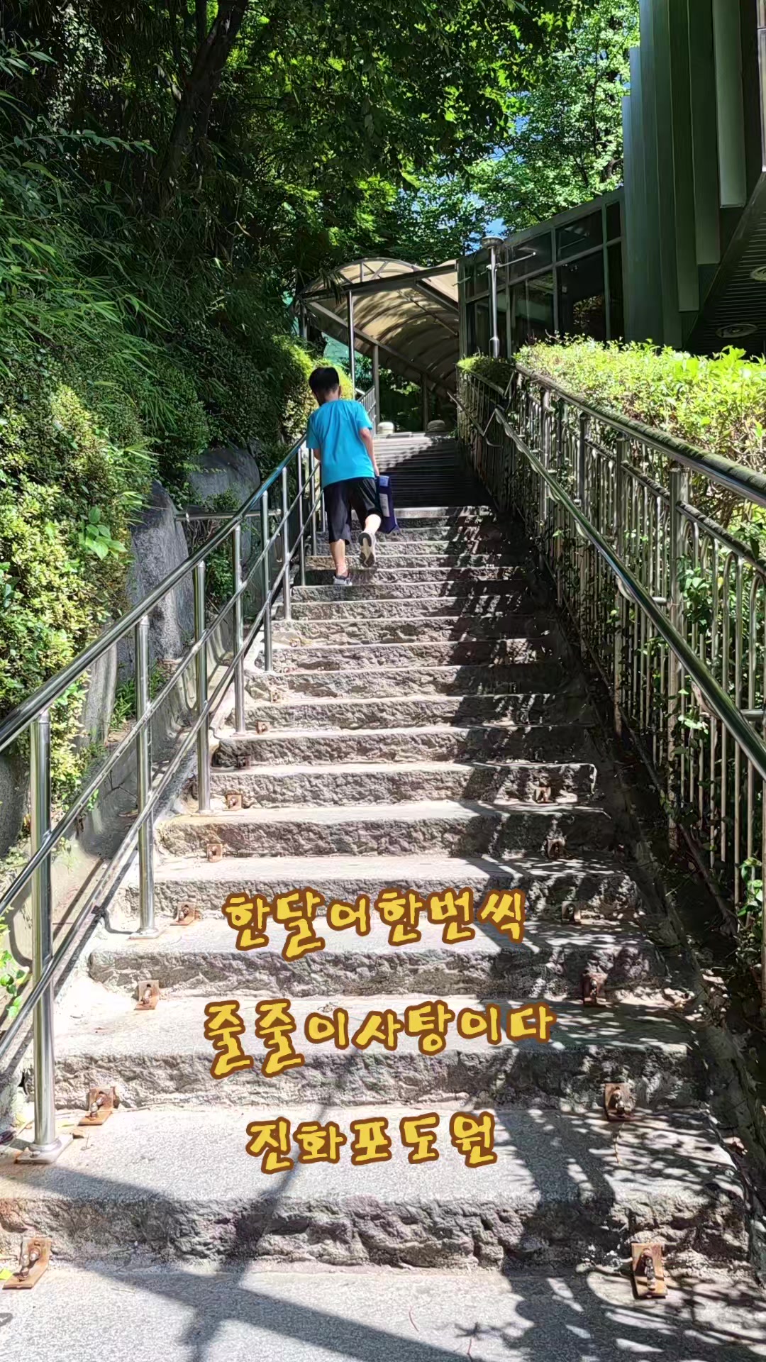 @진화포도원