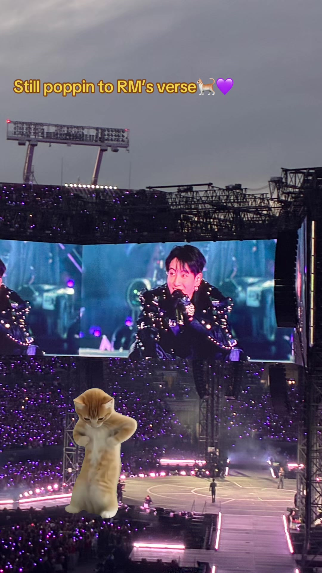 @SanK✨💜luvs✨💜BTS & ELVIS ⚡️🕺