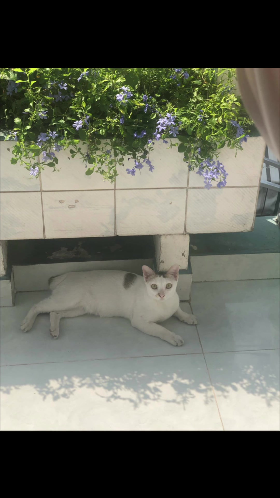 @Xù xinh xắn