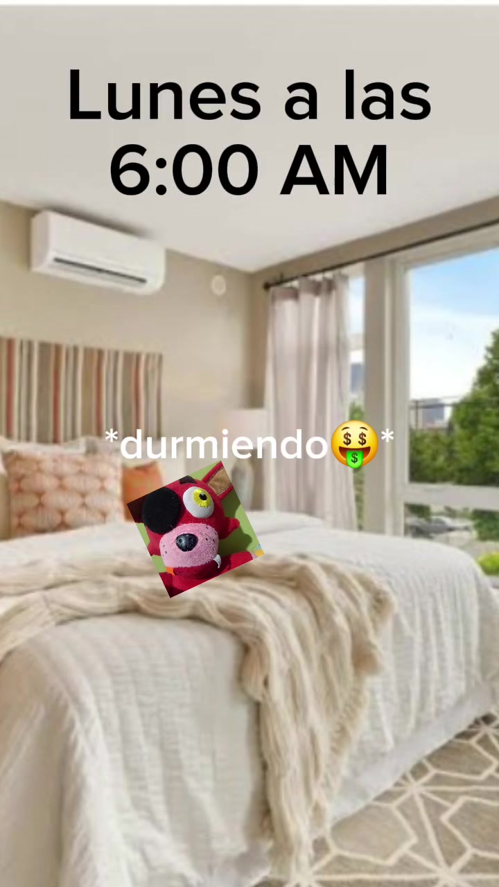 @santiago gutierrez✅️