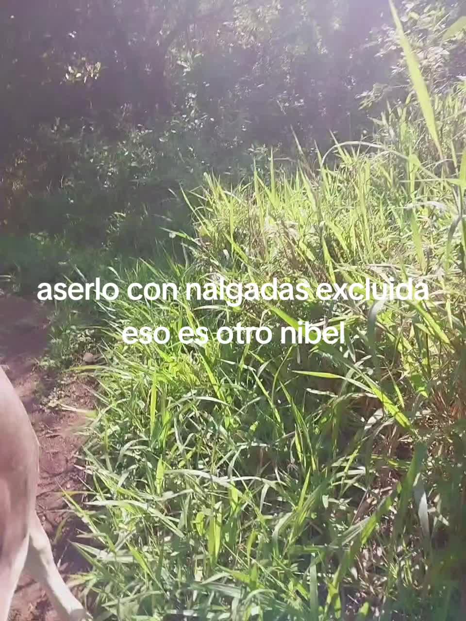 @El tigre ๐
๐
๐
๐
puro โฝ๏ธ
