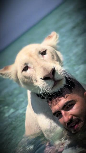 @مؤيد التركي 🐅🐆