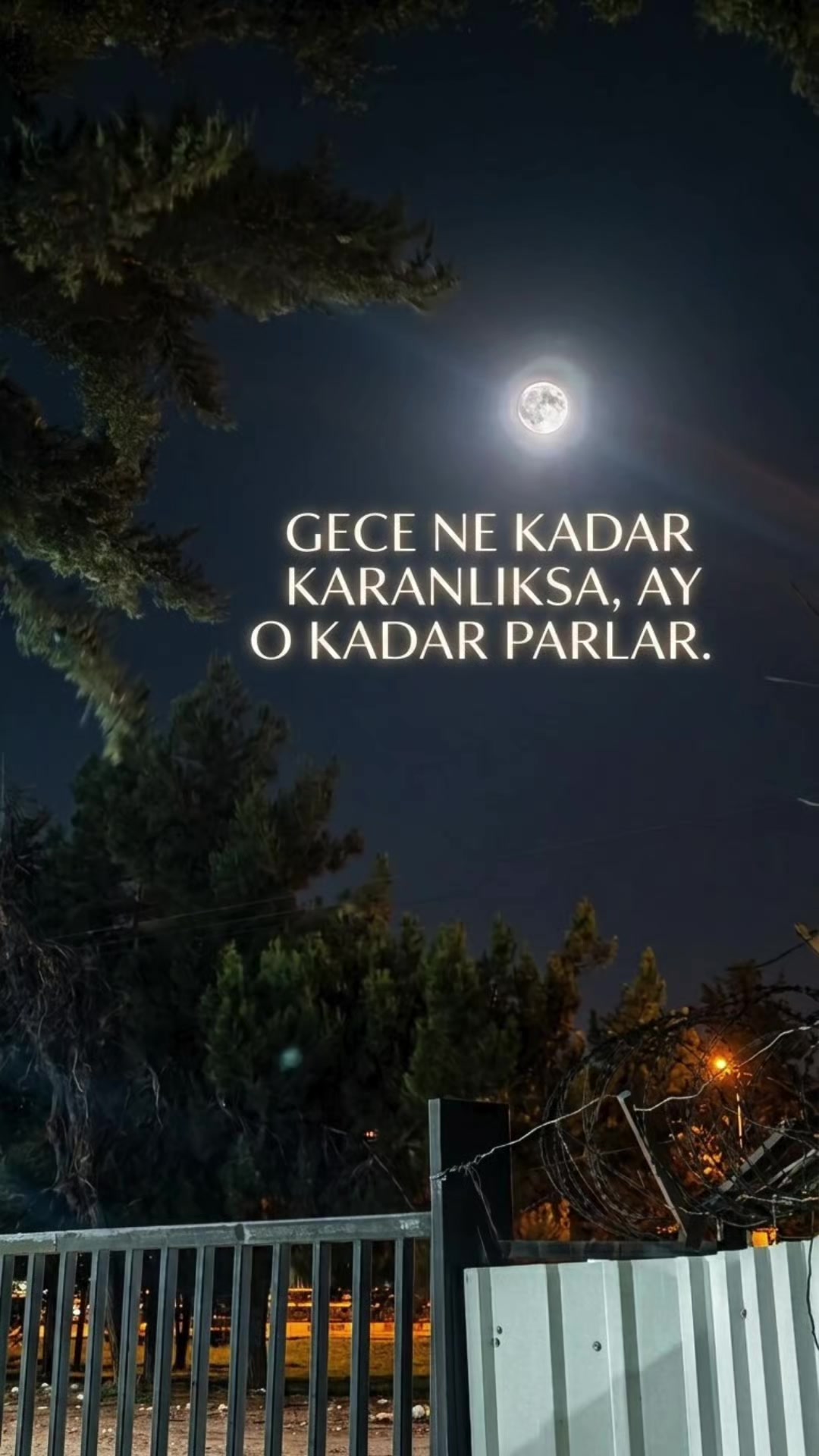 @🇹🇷𝓐𝓵𝓲 𝓸𝔃𝓰𝓾𝓿𝓮𝓷☄️