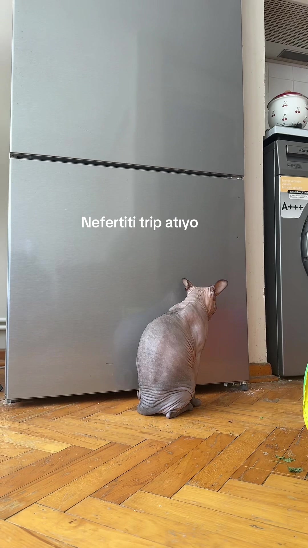 @Larin