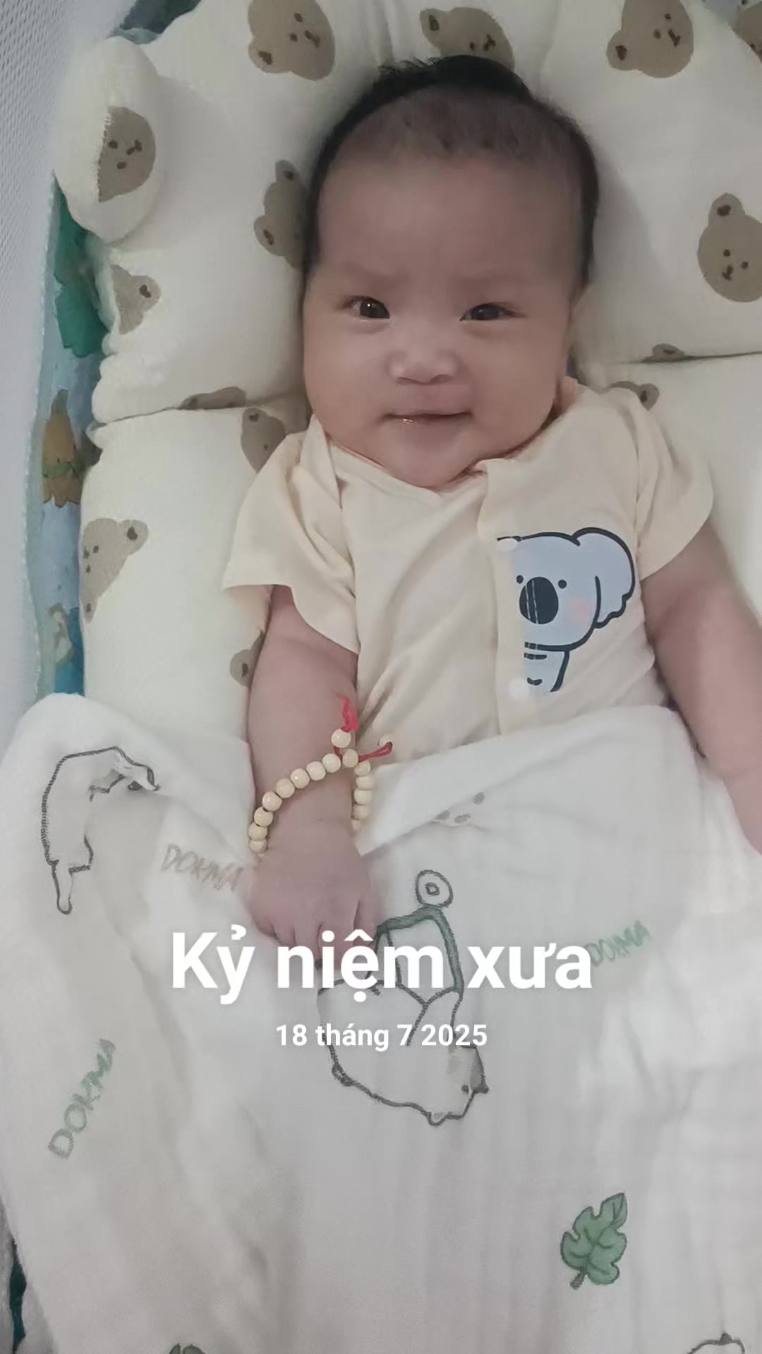 @B&ocirc;ng36