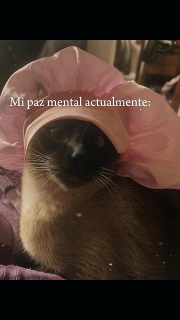 @lasirenaconflow🧜🏻♀️