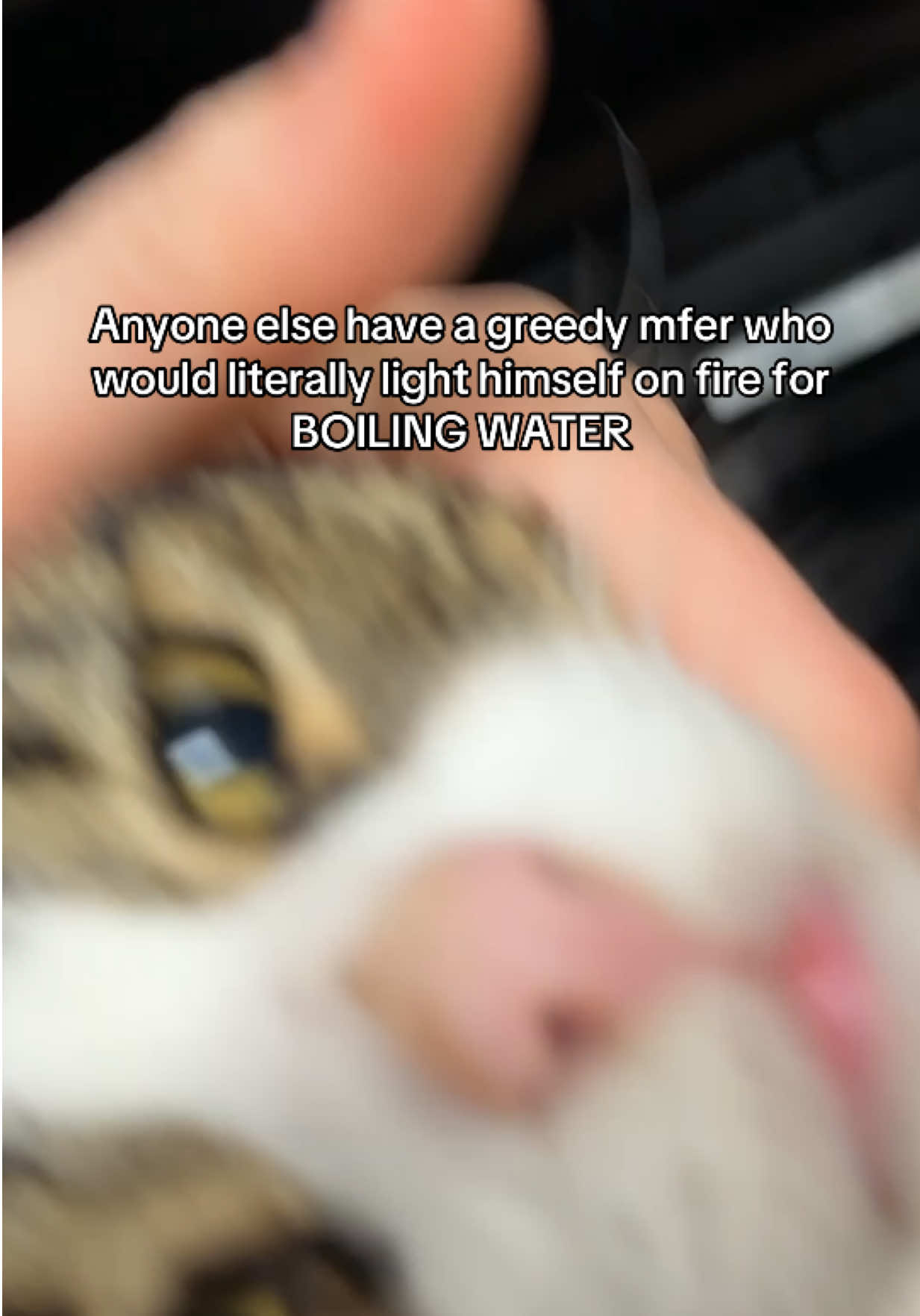 @Kari Anderson